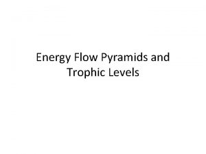 Energy Flow Pyramids and Trophic Levels TROPHIC LEVELS