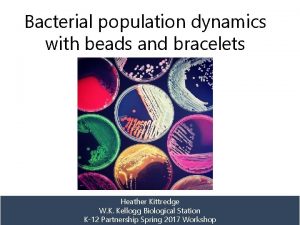 Bacterial population dynamics with beads and bracelets Heather