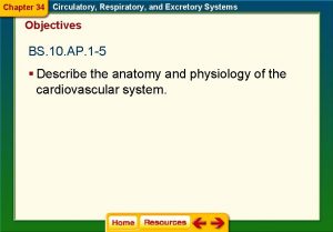 Chapter 34 Circulatory Respiratory and Excretory Systems Objectives