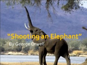 Shooting an Elephant By George Orwell Author Biography