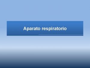 Aparato respiratorio Aparato respiratorio Realiza intercambio de gases