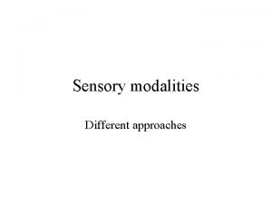 Sensory modalities Different approaches ORegan J K Noe