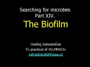 Searching for microbes Part XIV The Biofilm Ondej