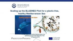 Scaling up the BLUEMED Pilot for a plasticfree