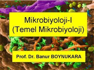 MikrobiyolojiI Temel Mikrobiyoloji Prof Dr Banur BOYNUKARA 1