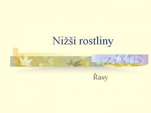 Ni rostliny asy Ni rostliny n n Mezi