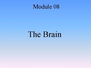 Module 08 The Brain Module 8 The Brain