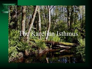 The Karelian Isthmus Location The Karelian Isthmus is