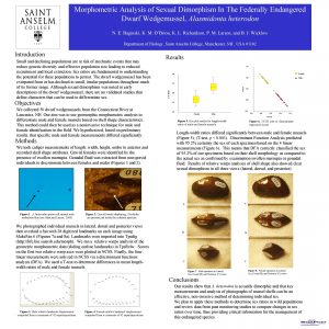 Morphometric Analysis of Sexual Dimorphism In The Federally