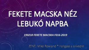 FEKETE MACSKA NZ LEBUK NAPBA 190218 FEKETE MACSKA