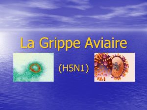 La Grippe Aviaire H 5 N 1 Sommaire