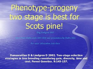 Phenotypeprogeny two stage is best for Scots pine