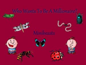 Who Wants To Be A Millionaire Minibeasts Question