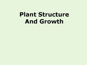 Plant Structure And Growth The Plant Body is