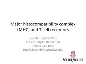 Major histocompatibility complex MHC and T cell receptors