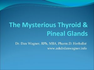 The Mysterious Thyroid Pineal Glands Dr Dan Wagner