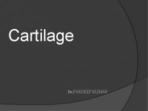 Cartilage Dr PARDEEP KUMAR CARTILAGE It is a