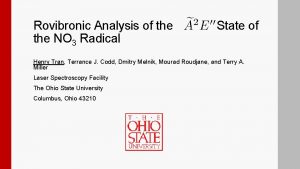 Rovibronic Analysis of the NO 3 Radical State