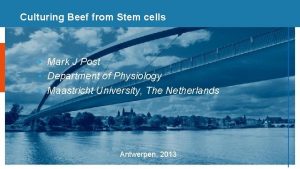 Culturing Beef from Stem cells Mark J Post