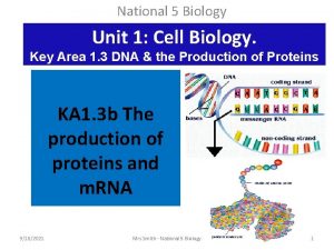 National 5 Biology Unit 1 Cell Biology Key