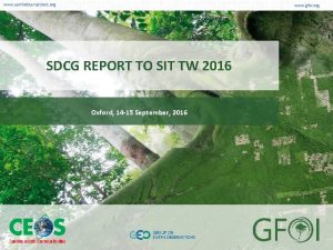 www earthobservations org www gfoi org SDCG REPORT