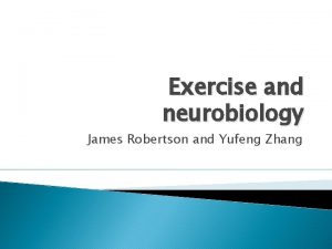 Exercise and neurobiology James Robertson and Yufeng Zhang