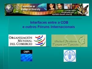 Interfaces entre a CDB e outros Fruns Internacionais