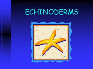 ECHINODERMS Echinoderms are spinyskinned invertebrates that live in