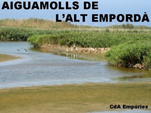 AIGUAMOLLS DE LALT EMPORD Cd A Empries Qu