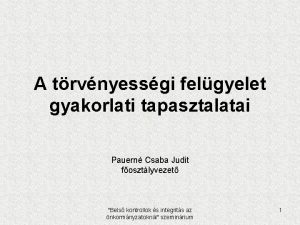 A trvnyessgi felgyelet gyakorlati tapasztalatai Pauern Csaba Judit