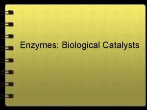 Enzymes Biological Catalysts Enzymes Proteins Speed up chemical
