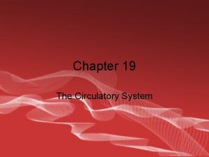 Chapter 19 The Circulatory System The Circulatory System