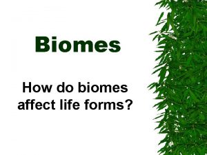 Biomes How do biomes affect life forms Biomes