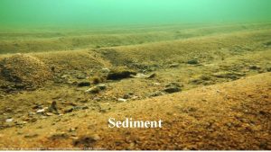 Sediment Ocean sediment thickness Which sediment class contains