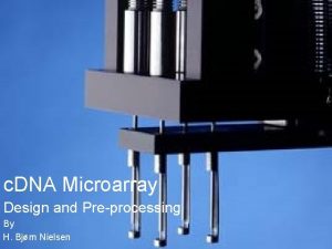 c DNA Microarray Design and Preprocessing By H