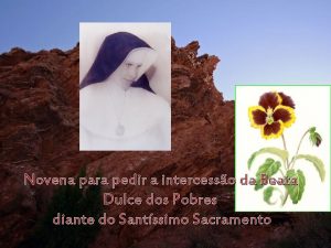 Novena para pedir a intercesso da Beata Dulce