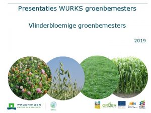 Presentaties WURKS groenbemesters Vlinderbloemige groenbemesters 2019 Witte klaver