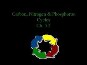 Carbon Nitrogen Phosphorus Cycles Ch 5 2 Carbon