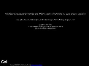 Interfacing Molecular Dynamics and MacroScale Simulations for Lipid