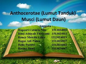 Anthocerotae Lumut Tanduk Musci Lumut Daun Anggota Hapsari