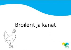 Broilerit ja kanat Sanastoa Nokka linnun nen ja