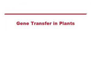 Gene Transfer in Plants Gene Transfer in Plants