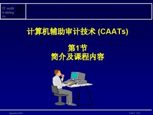 IT audit training for CAATs 1 September 2004