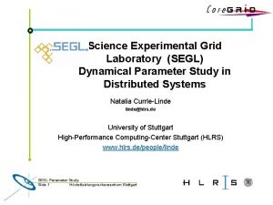 Science Experimental Grid Laboratory SEGL Dynamical Parameter Study