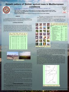 Growth pattern of Blida apricot trees in Mediterranean