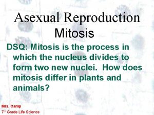 Asexual Reproduction Mitosis DSQ Mitosis is the process