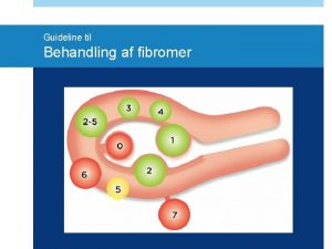 Guideline til Behandling af fibromer Arbejdsgruppens medlemmer Birgitte