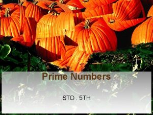 Prime Numbers STD 5 TH Definitions Even Numbers