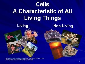 Cells A Characteristic of All Living Things Living