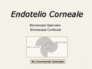 Endotelio Corneale Microscopia Speculare Microscopia Confocale No Commercial